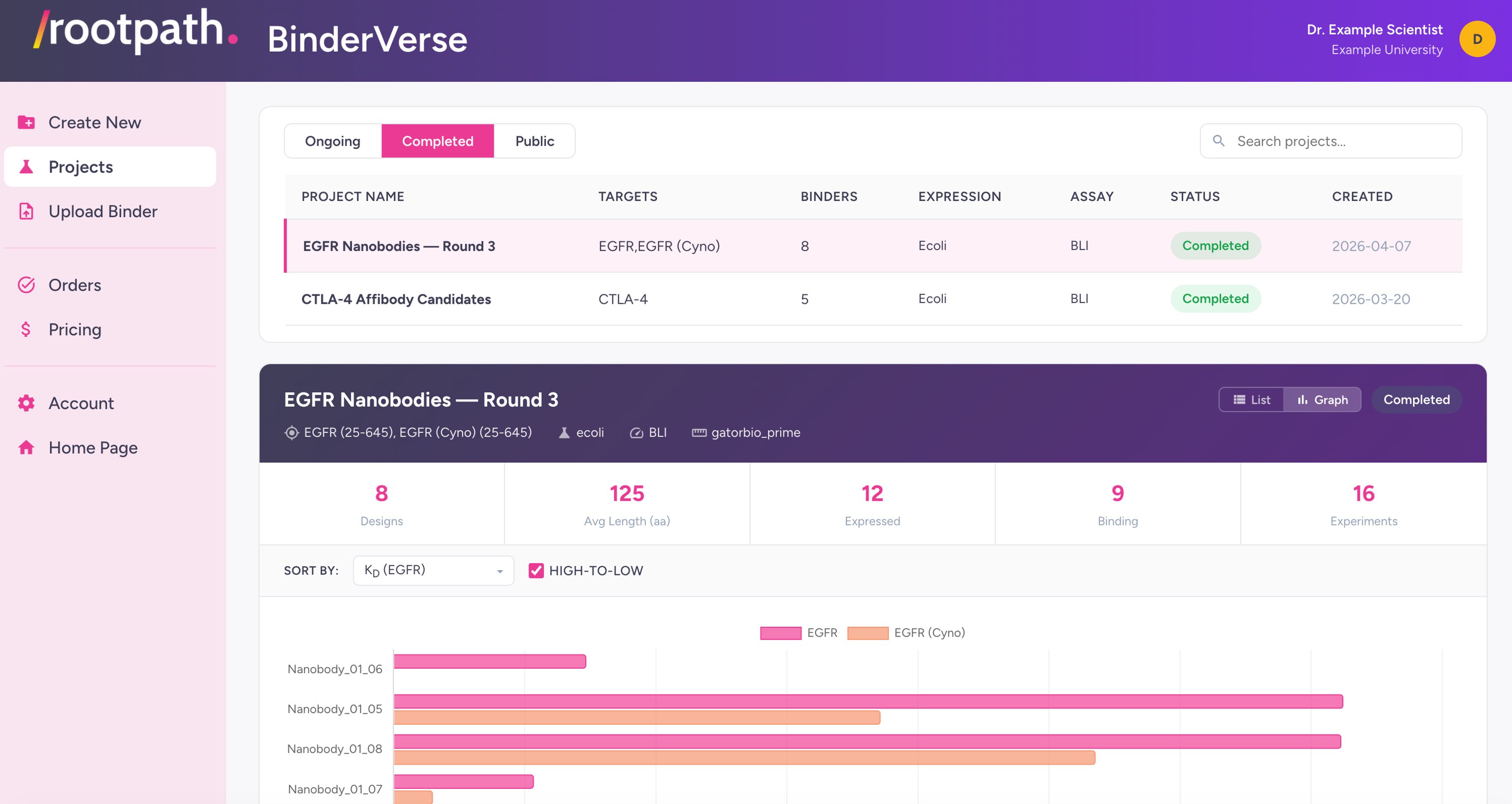 BinderVerse portal screenshot